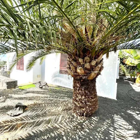 Βίλα Encantadora Villa Con Piscina Privada, Wifi, A/C, Bbq, Playa Blanca *